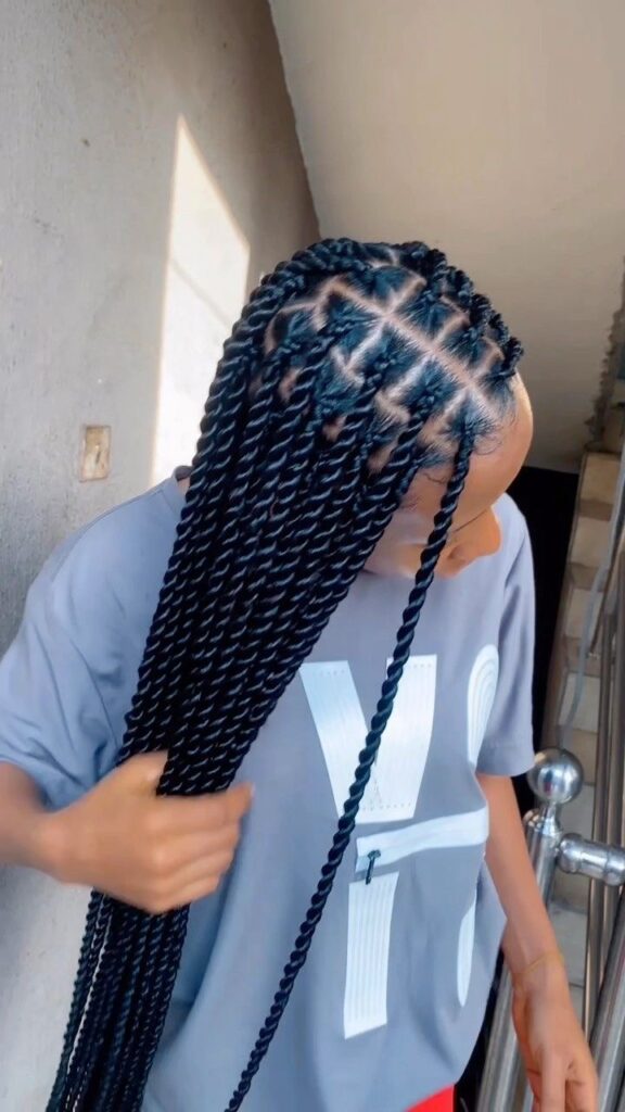 Twisted box braid